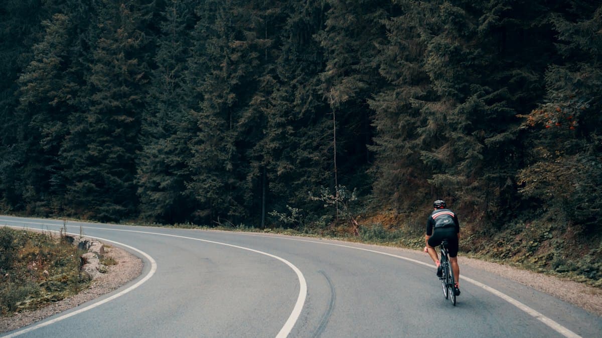 Ciclista em uma estrada entre árvores